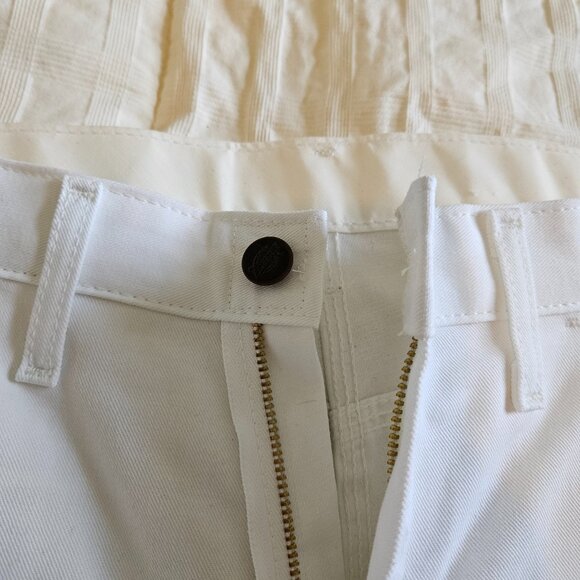 Sherwin Williams by Dickies Carpenter/Painter Pants Solid White Size 30x30 - Picture 5 of 7